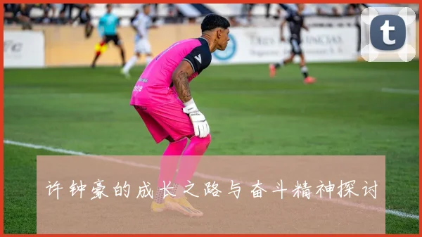 许钟豪的成长之路与奋斗精神探讨