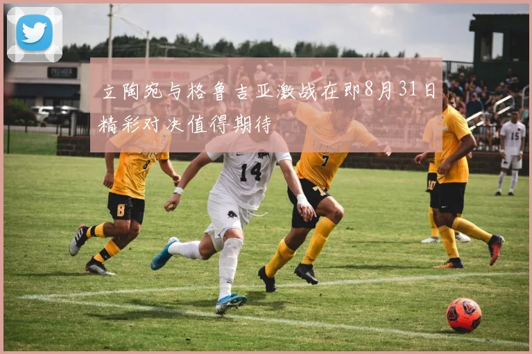 立陶宛与格鲁吉亚激战在即8月31日精彩对决值得期待